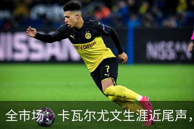 全市场：卡瓦尔尤文生涯近尾声，伤病前后仅任替补