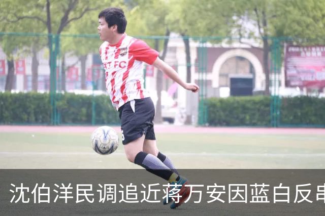 沈伯洋民调追近蒋万安因蓝白反串？台作家：绿营将再现“大罢免”惨败