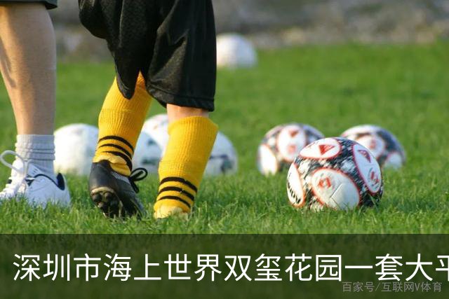 深圳市海上世界双玺花园一套大平层海景房拍卖，被人5116万元竞得