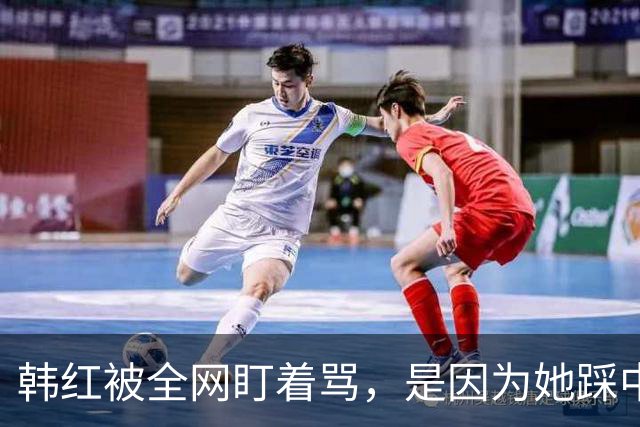 韩红被全网盯着骂，是因为她踩中了，中国观众最讨厌的3个雷区
