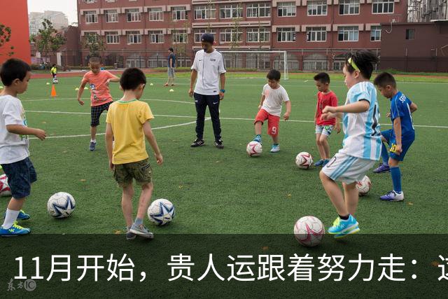 11月开始，贵人运跟着努力走：这三个生肖事业稳中有升，付出渐有回报